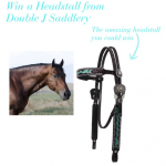 Double J Saddlery Headstall Giveaway