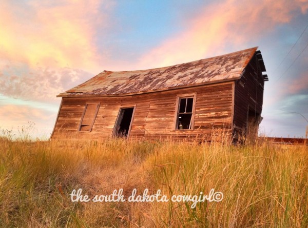 603405 419098321462413 291393627 n 600x445 The South Dakota Cowgirl Photography 