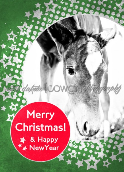 il 570xN.386485133 tna1 434x600 The South Dakota Cowgirl Christmas cards