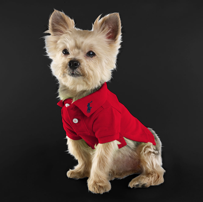 ralph lauren dog raincoat