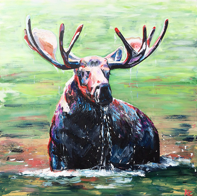 Moose Swimming by Alana Clumeck