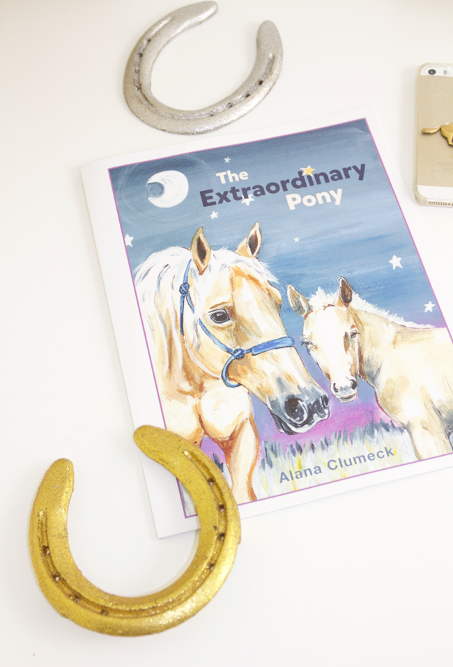 The Extraordinary Pony, a children's book
