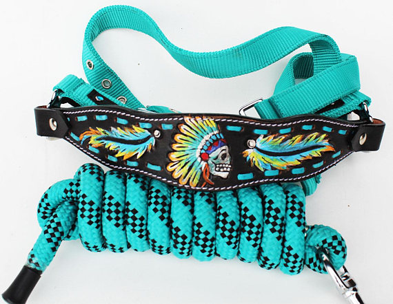 awesome turquoise bronc halter