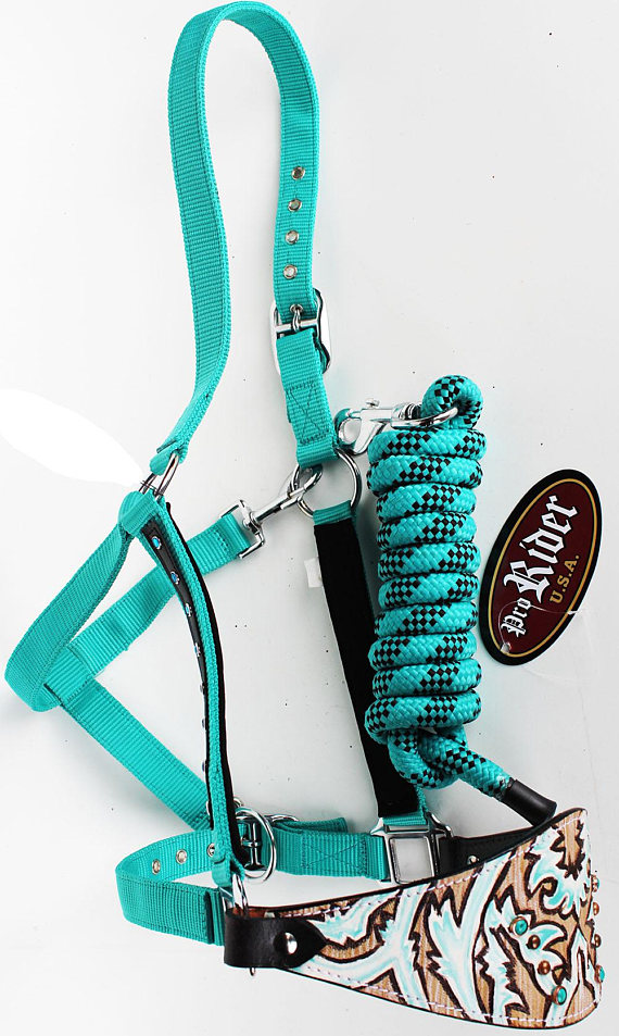 turquoise bronc halter with a beautiful painted and tooled nose band