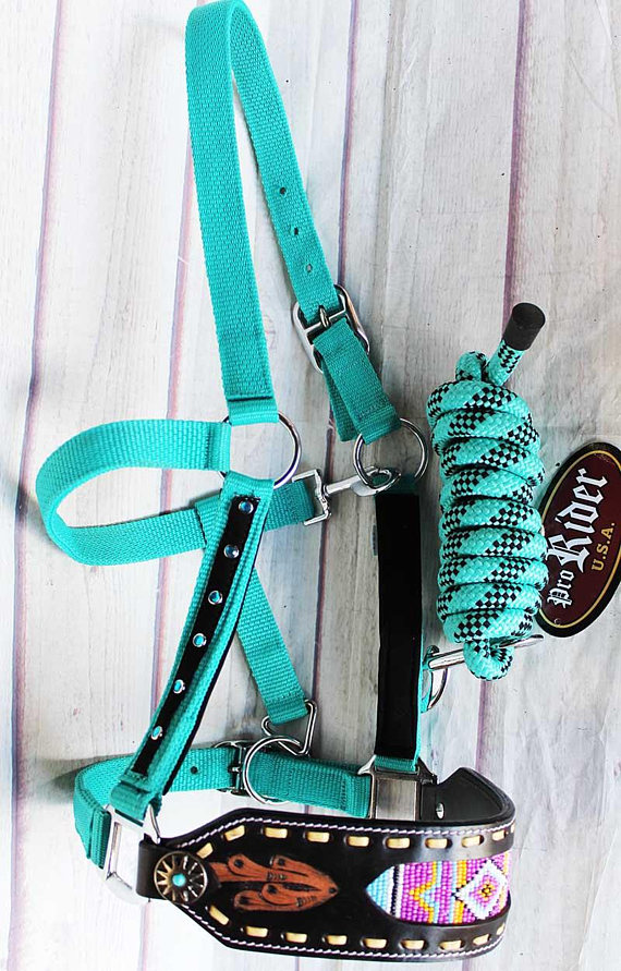 turquoise nylon halter with leather nose band
