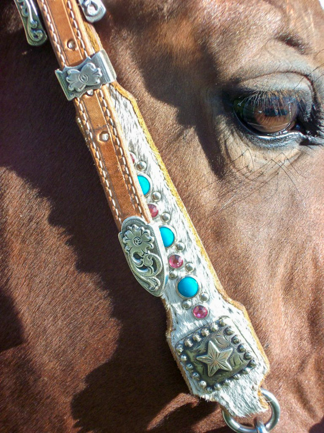 Kind eyes, bay horse wearing a white hair on headstall with turquoise and pink stones