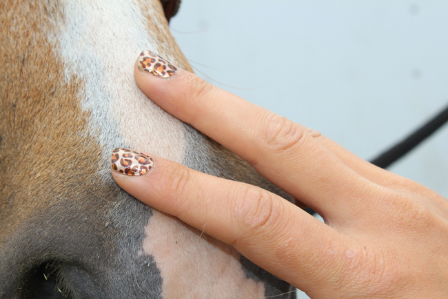 cheetah print nails
