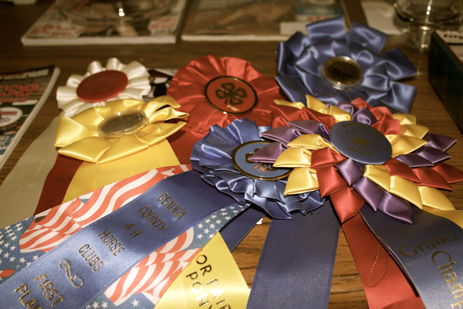 horse show ribbons for decor