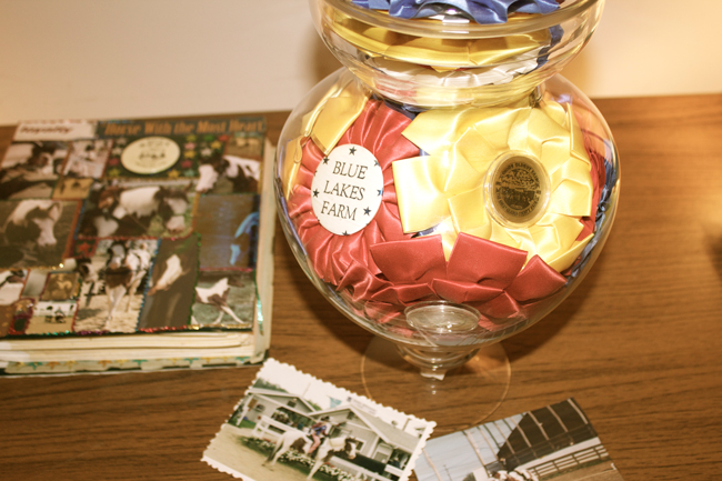 horse show ribbons in a jar