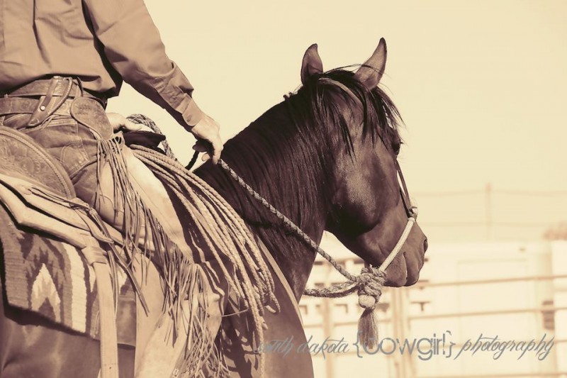 The South Dakota Cowgirl Photography 