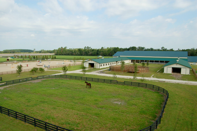 Overview of Bridlebourne Stables