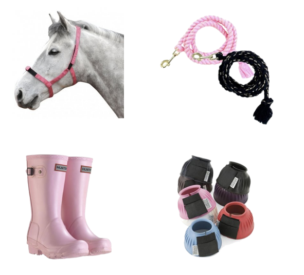 Summer Essentials for the Horse & rider