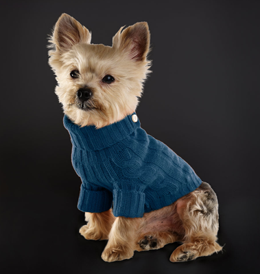 Fair-Isle-Dog-Sweater