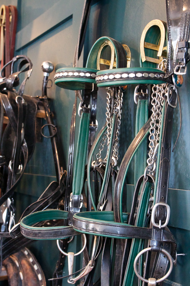 Clean bridles hanging neatly
