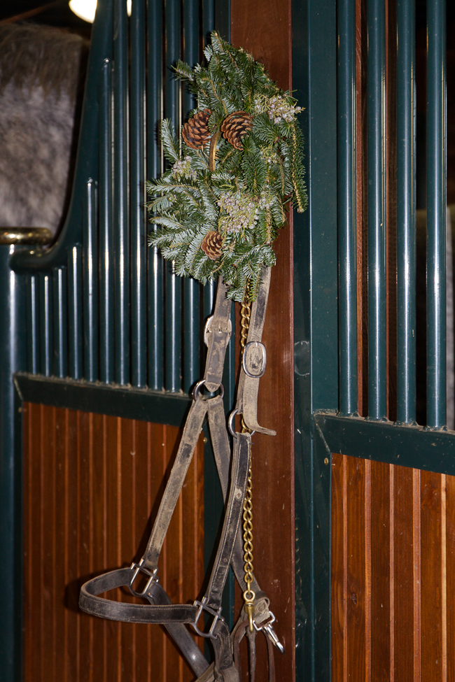 Leather halter and Christmas greenery | Stable Style