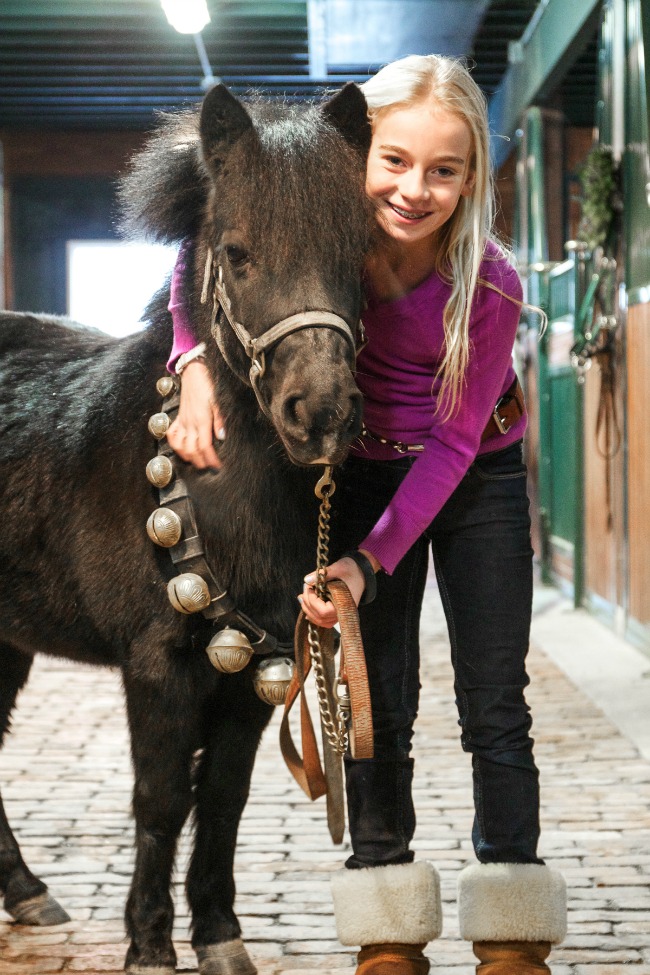 Lizzie and Licorice|Stable Style