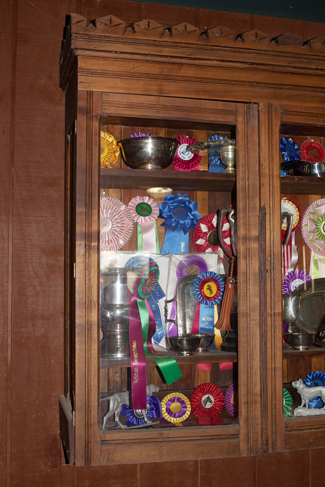 Ribbon and trophy case | Stable Style
