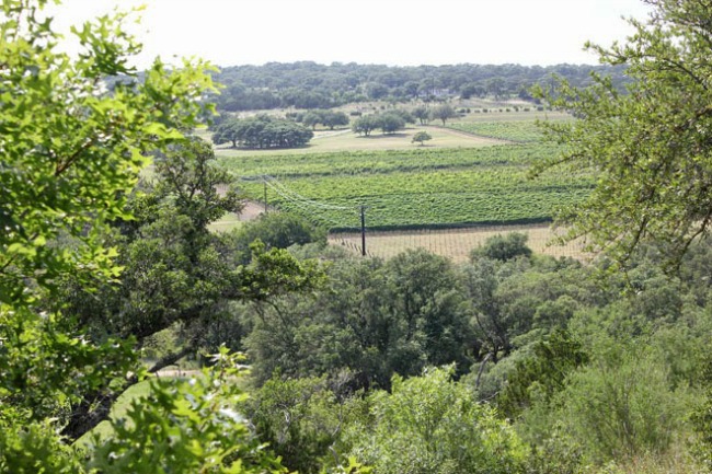 Driftwood Vineyards | Austin, Texas Travel Guide