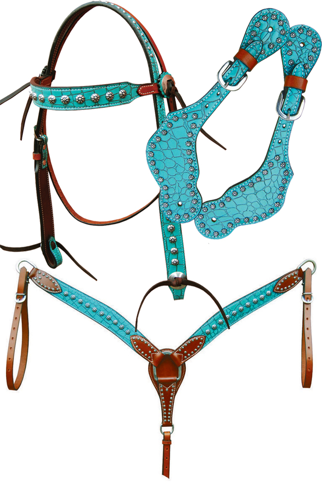 Bar H Equine Turquoise Gator Collection