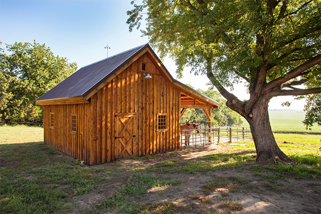 Small wooden horse barn