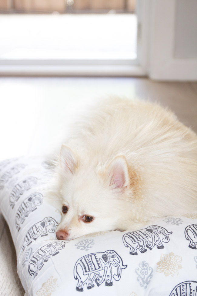 DIY Doubled-Side Fabric Dog Bed