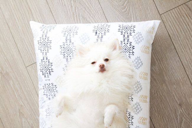 DIY Southwest Fabric Dog Bed