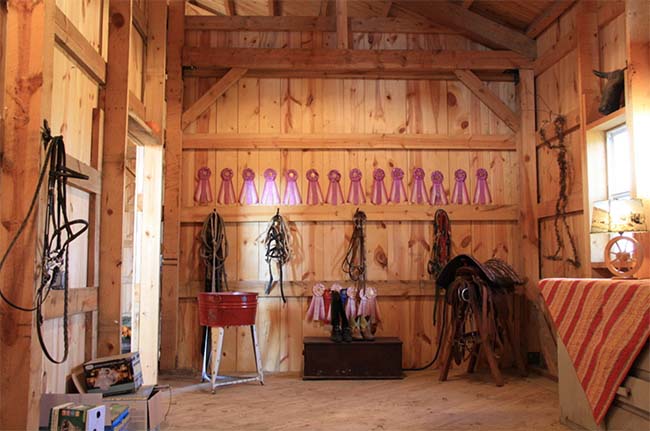 Tack room with ribbons on the wall