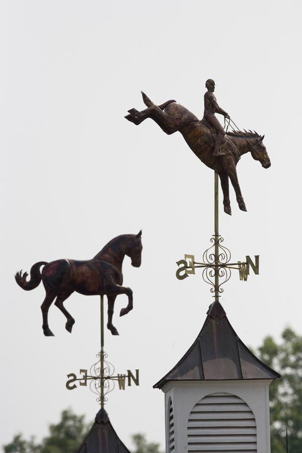 Three Day Eventer Horse Weather Vane and Standing Horse