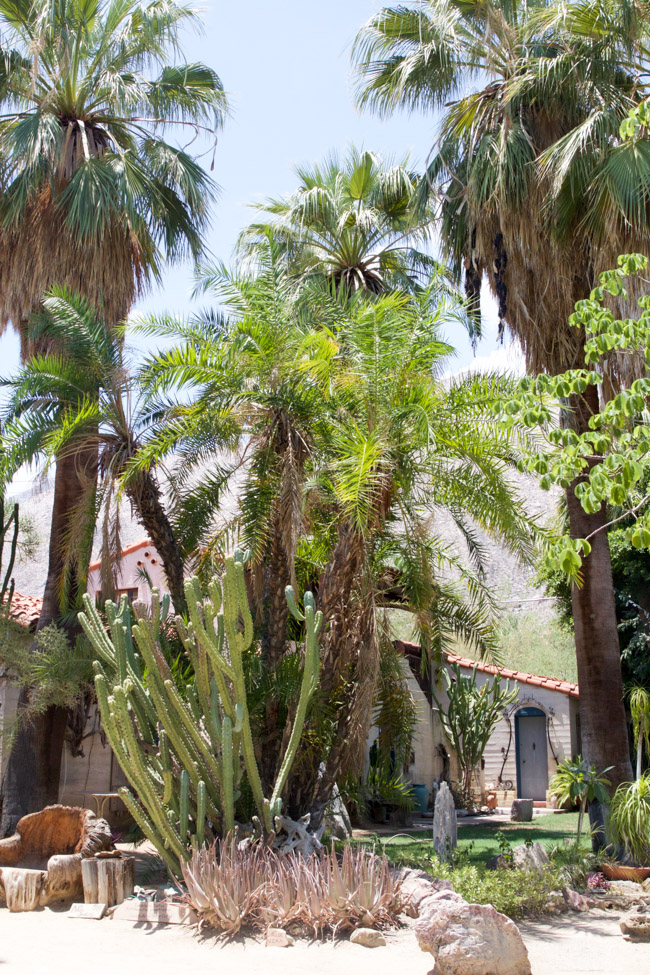Moorten Botanical Garden in Palm Springs, California