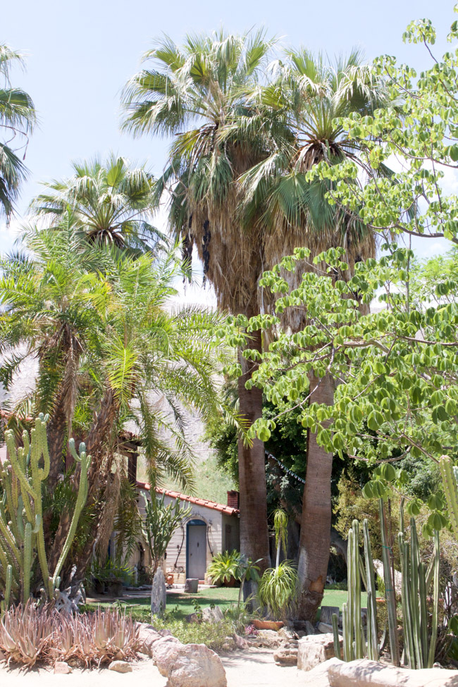 Moorten Botanical Garden located in Palm Springs, California