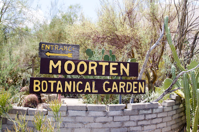 Moorten Botanical Garden