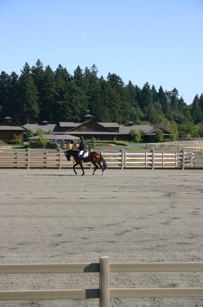 Riding in the outdoor arena at Wild Turkey Farm