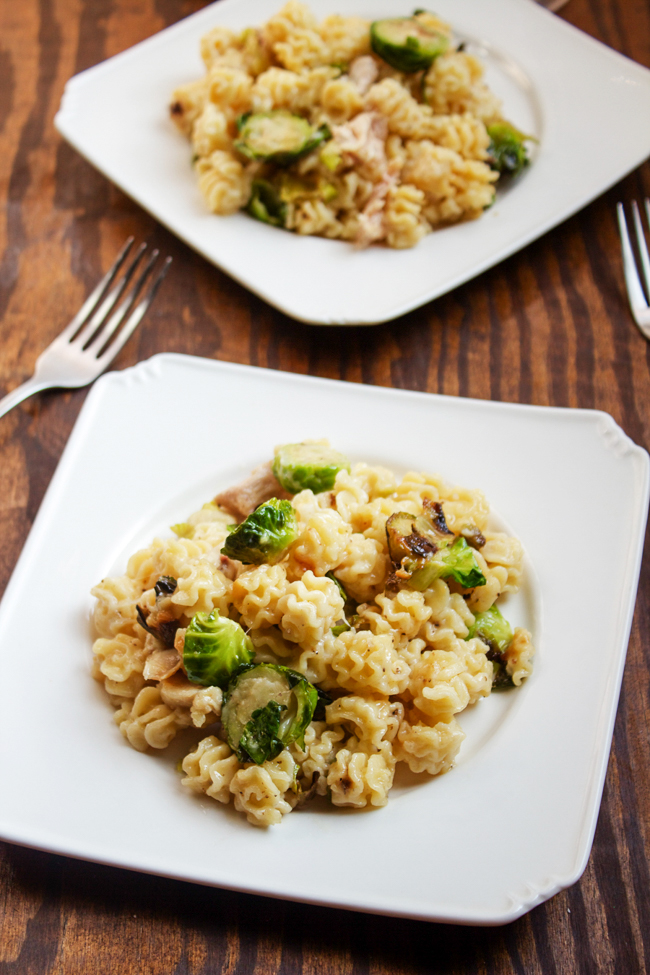 White Mac & Cheese with Brussels Sprouts and Chicken