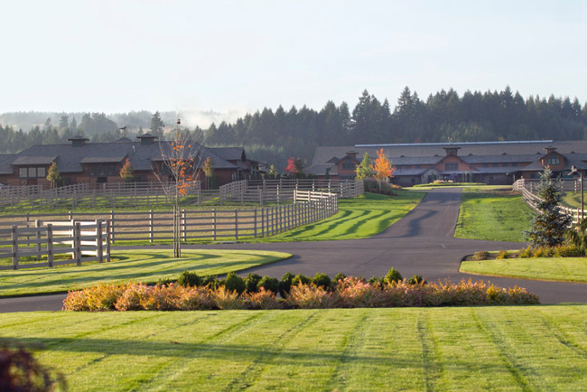 Wild Turkey Farm located in Wilsonville, Oregon