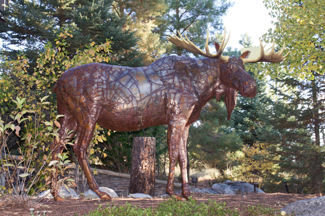 Large metal moose sculpture on Triple Creek grounds