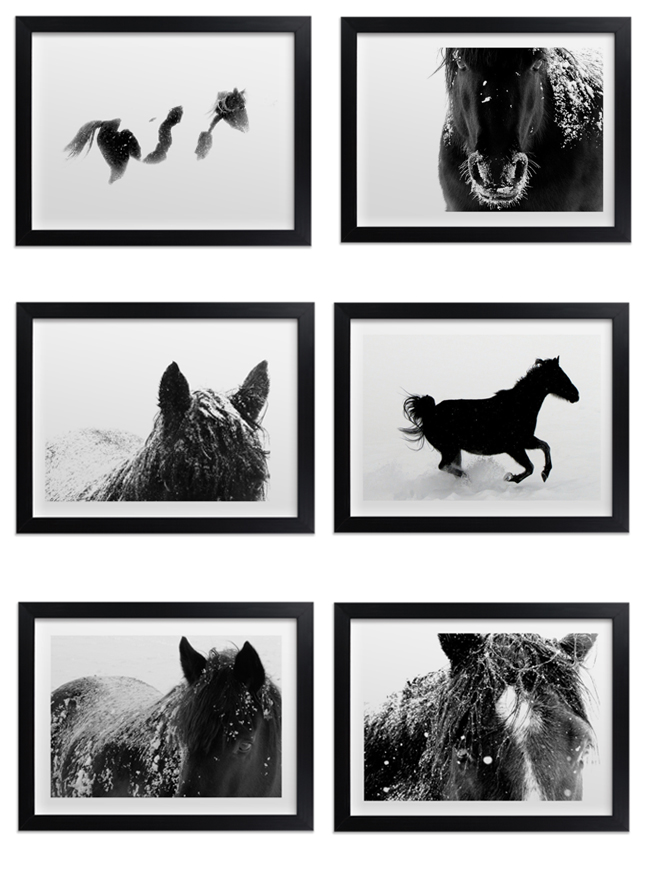 Black and white horse art print gallery wall inspiration