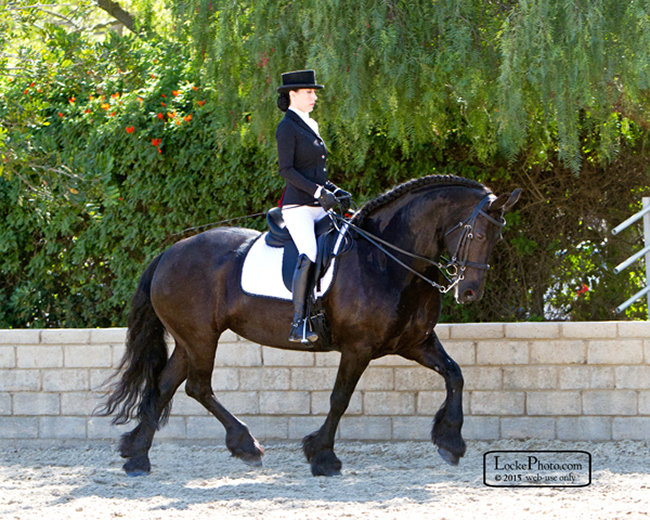 Erin and her beautiful Friesian horse