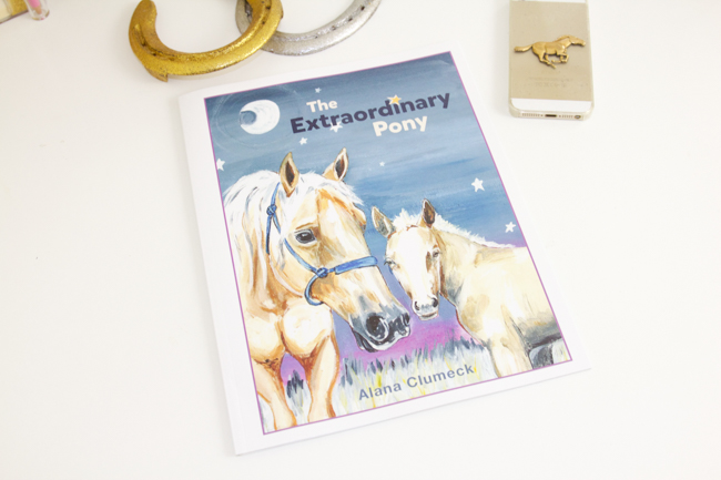 The Extraordinary Pony, a children's book by Alana Clumeck