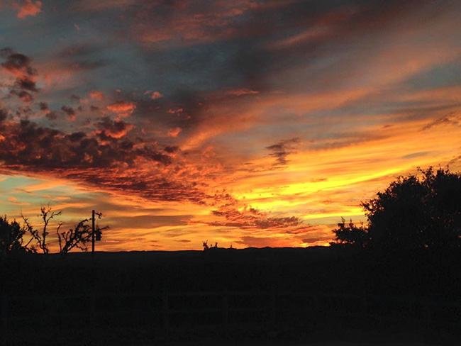 A beautiful Texas sunset over The Sugar & Spice Ranch