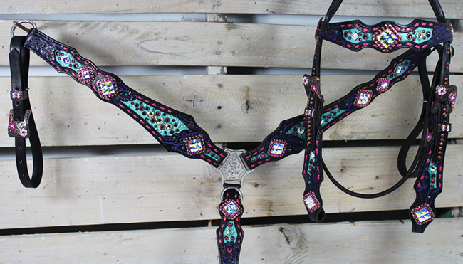 Pink, purple, and turquoise tack set