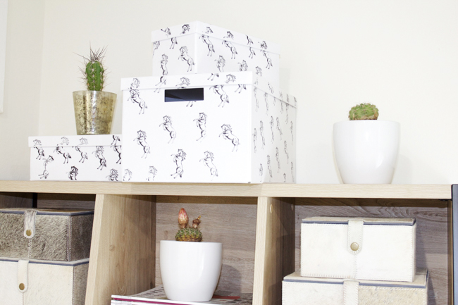 Black and white horse print boxes and cacti plants