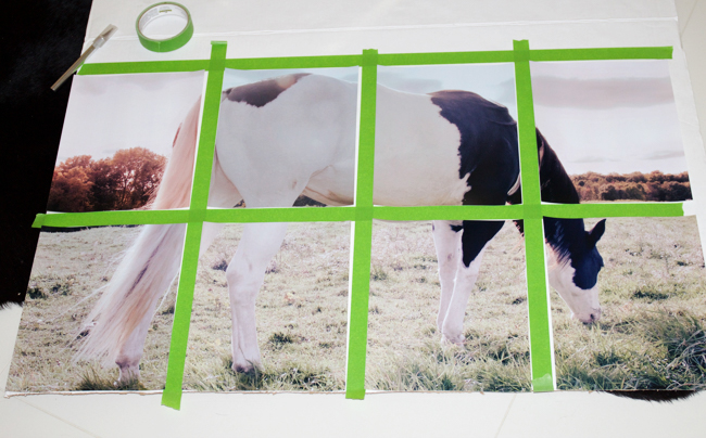 Horse photos for oversized artwork laid out