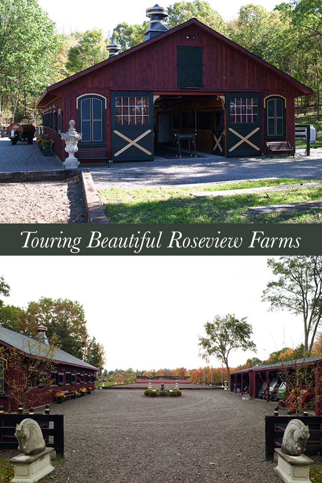 Touring Roseview Stables