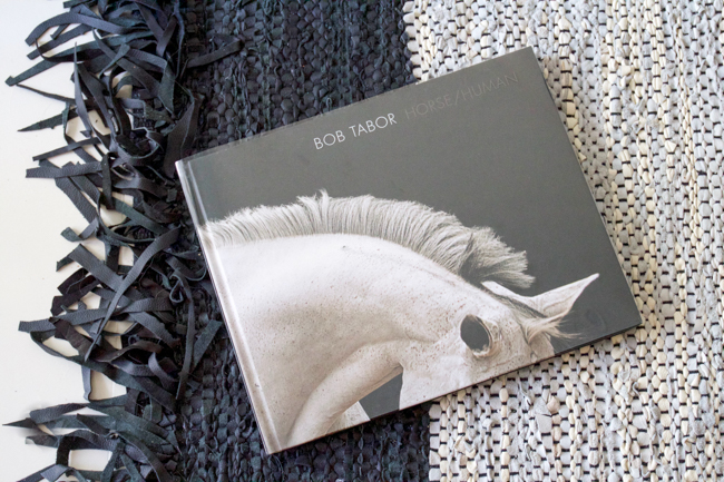 Horse/Human- An Emotional Bond by Bob Tabor