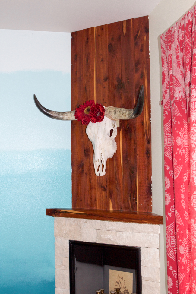 steer skull mounted next to an ombre wall