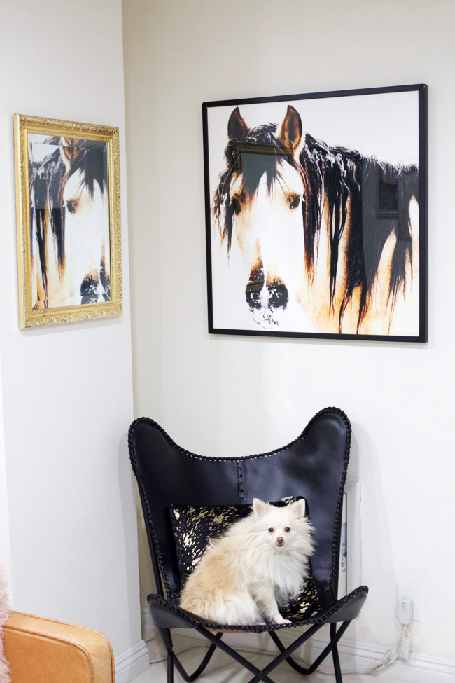 a neglected corner is decorated with equine art, a butterfly chair, and mirror
