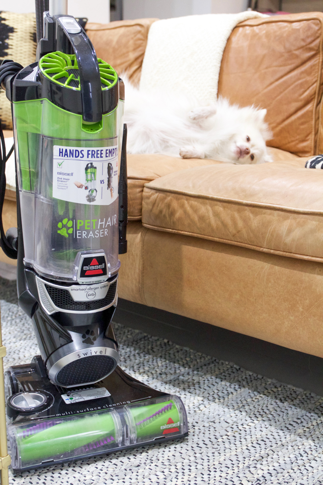Mango and the BISSELL vacuum 