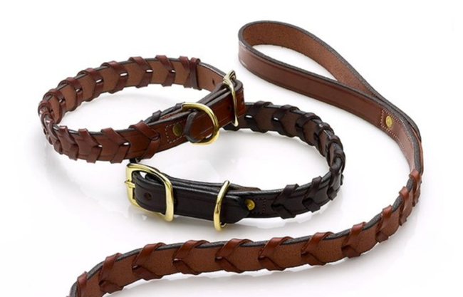 English equestrian dog collar and leash