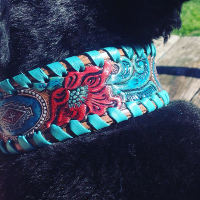 hand painted dog collar