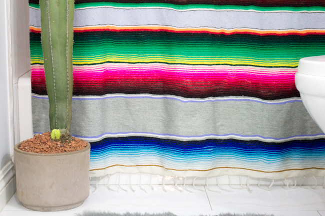 DIY serape shower curtain made from an old blanket and cactus in the bathroom